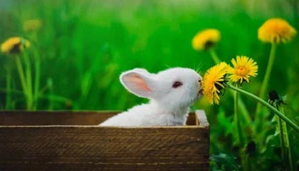 我得意的笑是什么歌—我得意的笑是谁唱的